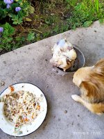IMG-20190908-WA0022.jpg IMG-20190908-WA0022.jpg