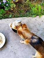 IMG-20190908-WA0016.jpg IMG-20190908-WA0016.jpg