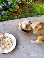 IMG-20190908-WA0020.jpg IMG-20190908-WA0020.jpg