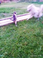 IMG-20190908-WA0019.jpg IMG-20190908-WA0019.jpg