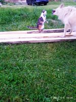 IMG-20190908-WA0017.jpg IMG-20190908-WA0017.jpg
