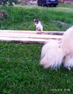 IMG-20190908-WA0015.jpg IMG-20190908-WA0015.jpg