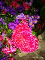 IMG-20190909-WA0020.jpg IMG-20190909-WA0020.jpg