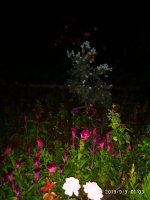IMG-20190909-WA0015.jpg IMG-20190909-WA0015.jpg