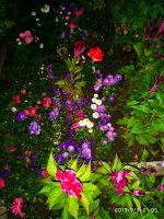 IMG-20190909-WA0013.jpg IMG-20190909-WA0013.jpg