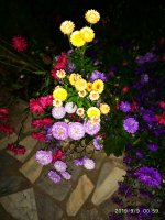 IMG-20190909-WA0008.jpg IMG-20190909-WA0008.jpg