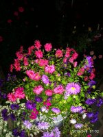 IMG-20190909-WA0007.jpg IMG-20190909-WA0007.jpg