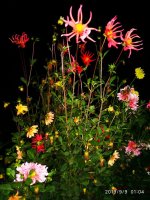 IMG-20190909-WA0006.jpg IMG-20190909-WA0006.jpg