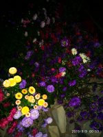 IMG-20190909-WA0003.jpg IMG-20190909-WA0003.jpg