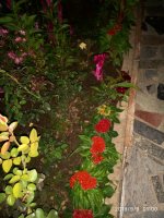 IMG-20190909-WA0000.jpg IMG-20190909-WA0000.jpg
