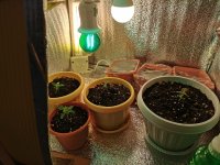 IMG-20190908-WA0007.jpg