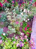 IMG-20190909-WA0044.jpg IMG-20190909-WA0044.jpg