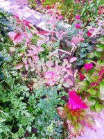 IMG-20190909-WA0040.jpg IMG-20190909-WA0040.jpg