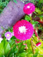 IMG-20190909-WA0032.jpg IMG-20190909-WA0032.jpg