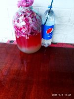 IMG-20190910-WA0008.jpg IMG-20190910-WA0008.jpg