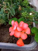 IMG-20190910-WA0029.jpg