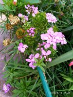IMG-20190910-WA0027.jpg