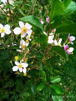 IMG-20190910-WA0025.jpg