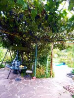 IMG-20190910-WA0041.jpg