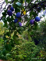 IMG-20190910-WA0044.jpg
