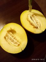 IMG-20190910-WA0033.jpg