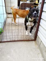 IMG-20190910-WA0038.jpg