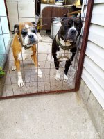 IMG-20190910-WA0037.jpg