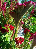 IMG-20190912-WA0021.jpg