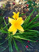 IMG-20190912-WA0032.jpg