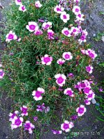 IMG-20190912-WA0031.jpg