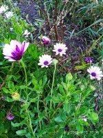 IMG-20190912-WA0029.jpg