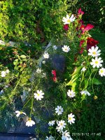 IMG-20190912-WA0028.jpg