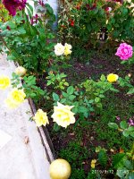 IMG-20190912-WA0027.jpg
