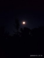IMG-20190913-WA0000.jpg