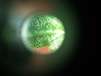 tmp-cam-1955606832.jpg