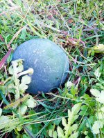IMG-20190916-WA0023.jpg