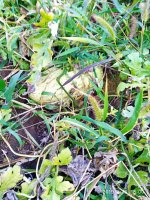 IMG-20190916-WA0022.jpg