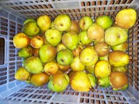 IMG-20190916-WA0020.jpg