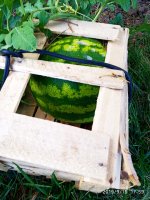 IMG-20190916-WA0036.jpg