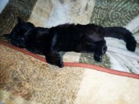 IMG-20190916-WA0037.jpg