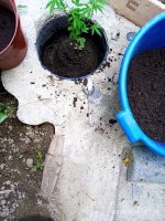 IMG-20190916-WA0039.jpg