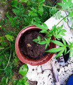 IMG-20190916-WA0040.jpg