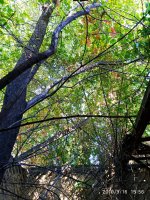 IMG-20190916-WA0048.jpg