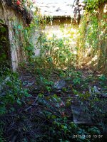 IMG-20190916-WA0047.jpg