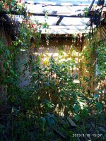 IMG-20190916-WA0046.jpg