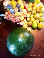 IMG-20190917-WA0003.jpg