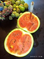 IMG-20190917-WA0000.jpg