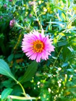 IMG-20190917-WA0009.jpg