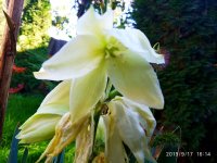 IMG-20190917-WA0007.jpg