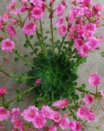 IMG-20190918-WA0007.jpg